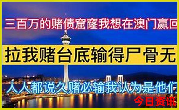 2025澳门今晚开特马开什么准不准